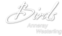 Logo annerays-birdsite.com